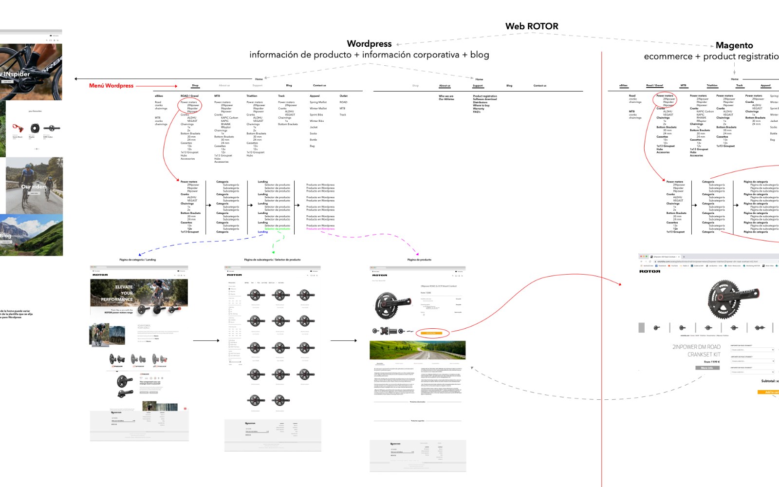ROTOR — estructura y flujo de la web